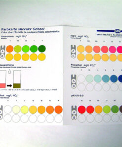 visocolor school scala culori