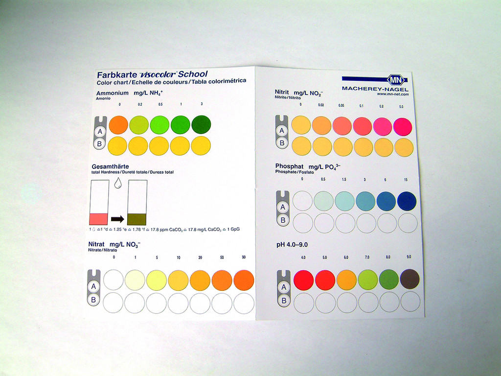 visocolor school scala culori
